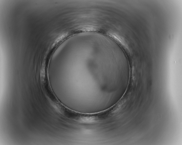 X0000087010202200704301424