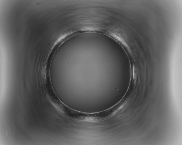 X0000087010204200704301424