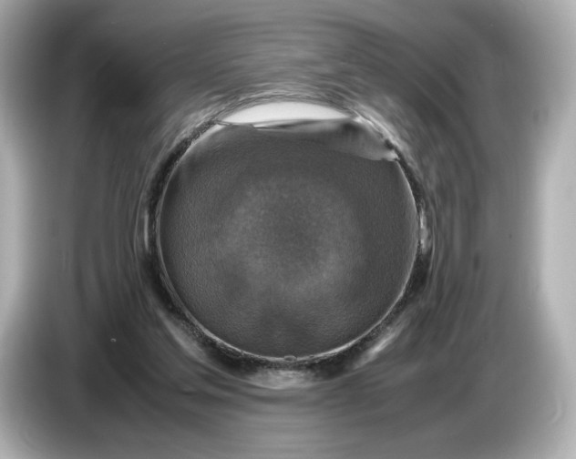 X0000087010205200704301424