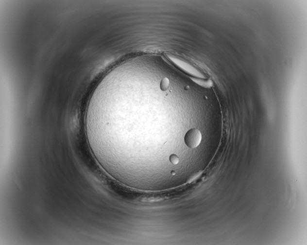 X0000087010208200704301424