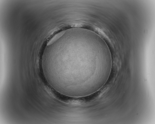 X0000087010209200704301424