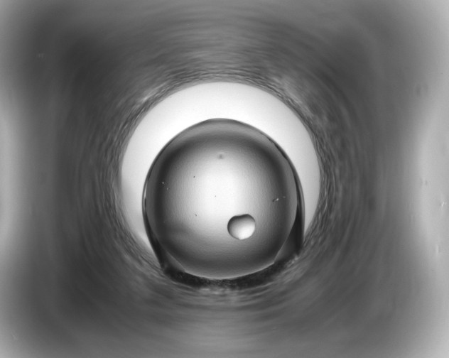 X0000087010211200704301424