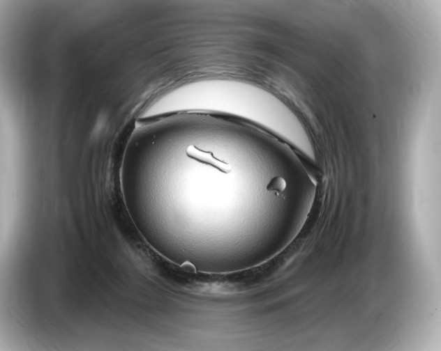 X0000087010212200704301424