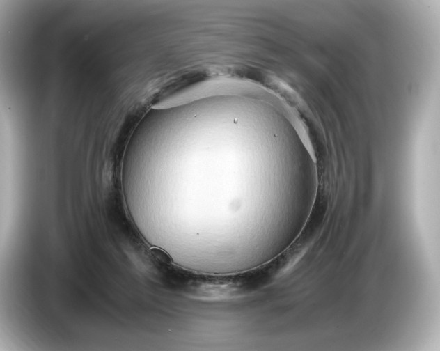 X0000087010213200704301424