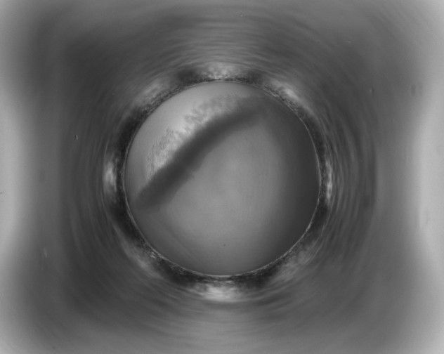 X0000087010214200704301424