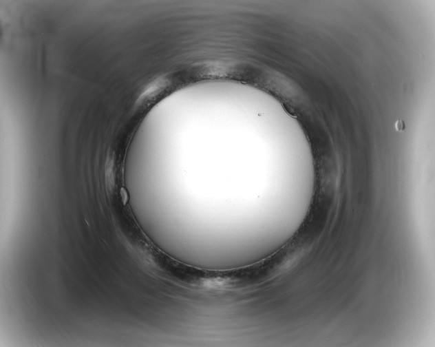 X0000087010216200704301424