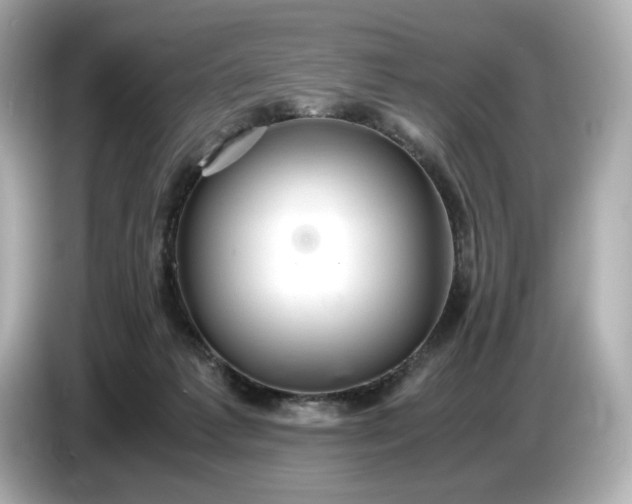 X0000087010221200704301424