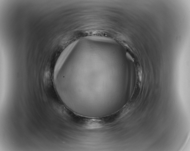 X0000087010222200704301424