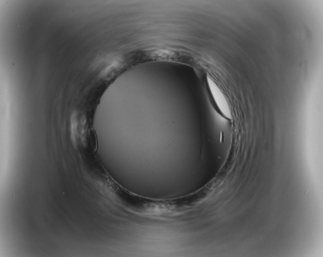 X0000087010223200704301424