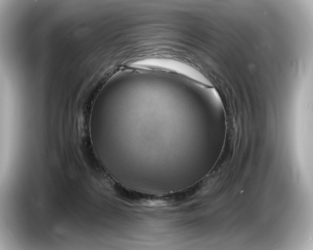 X0000087010224200704301424