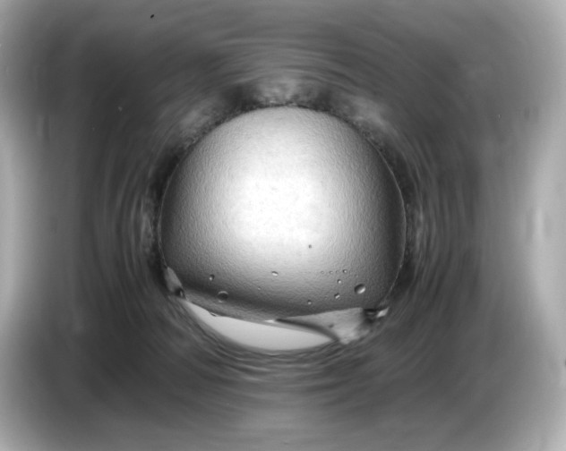 X0000087010226200704301424