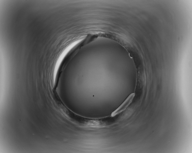 X0000087010227200704301424