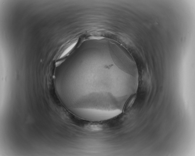 X0000087010228200704301424