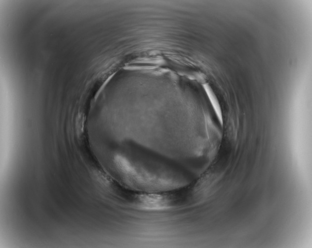 X0000087010230200704301424