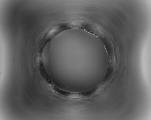 X0000087010231200704301424