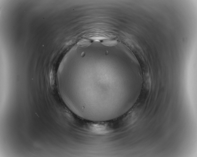 X0000087010232200704301424