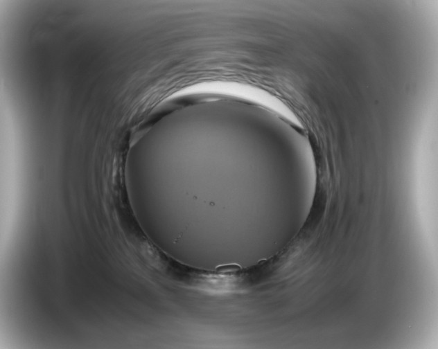 X0000087010233200704301424