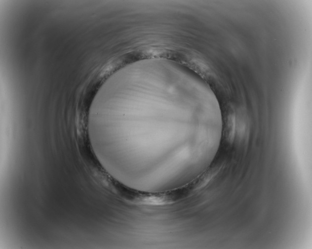 X0000087010236200704301424