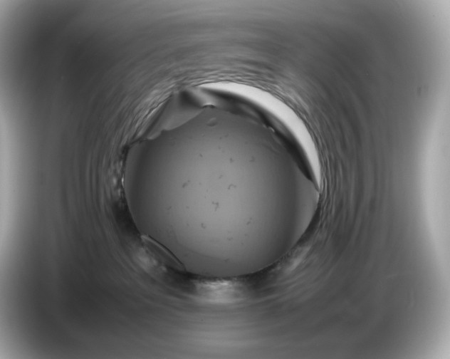 X0000087010237200704301424