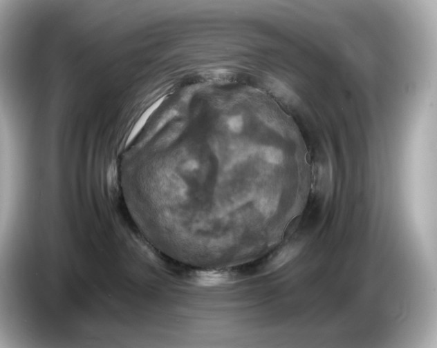 X0000087010238200704301424