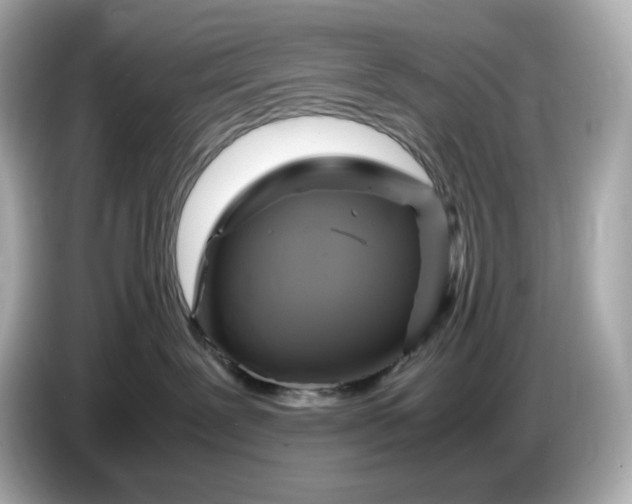 X0000087010239200704301424