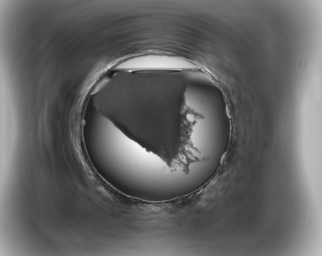 X0000087010241200704301423