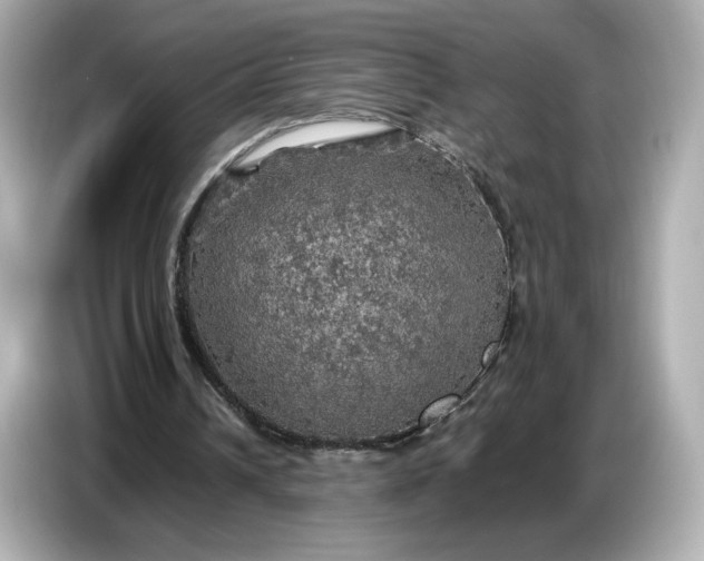 X0000087010242200704301423