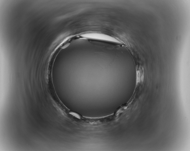 X0000087010243200704301423