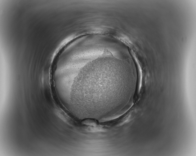 X0000087010244200704301423