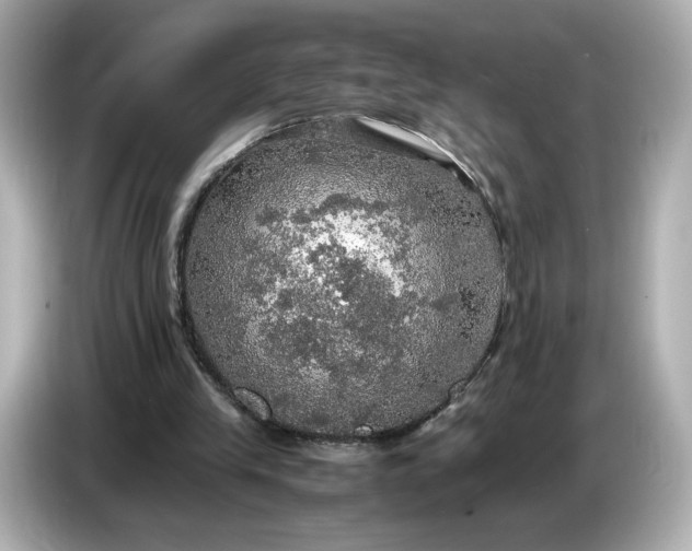 X0000087010245200704301423