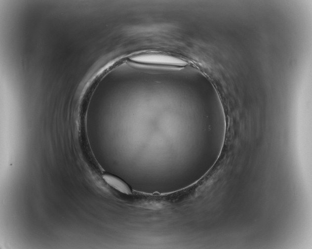 X0000087010247200704301423