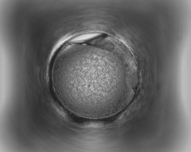 X0000087010248200704301423