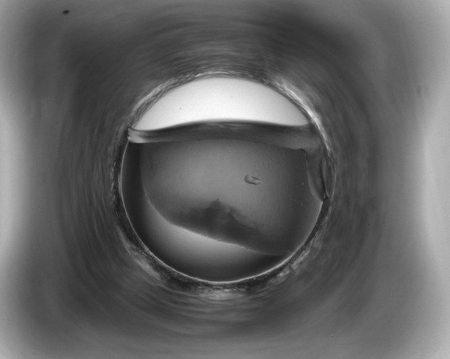 X0000087010249200704301423