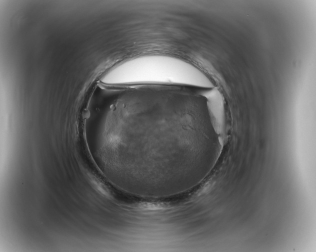 X0000087010250200704301423