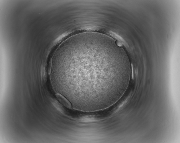 X0000087010252200704301423