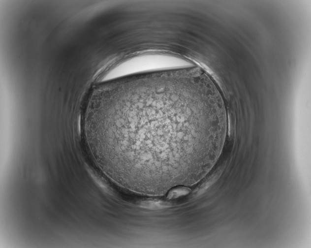 X0000087010253200704301423