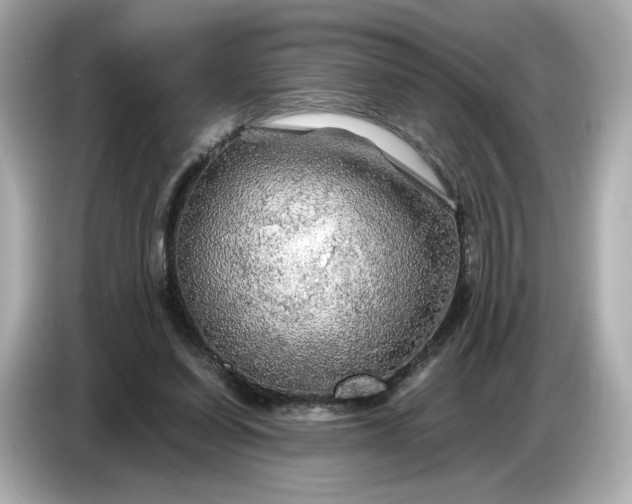 X0000087010254200704301423