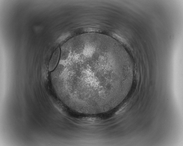 X0000087010255200704301423