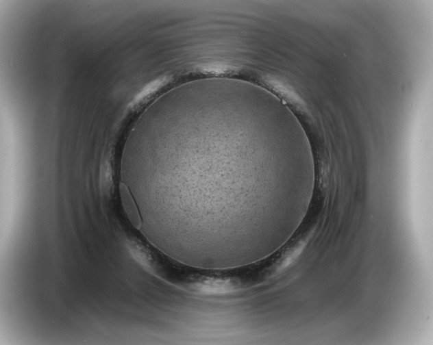 X0000087010256200704301424