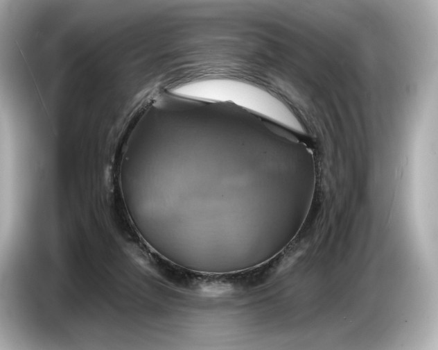 X0000087010258200704301424