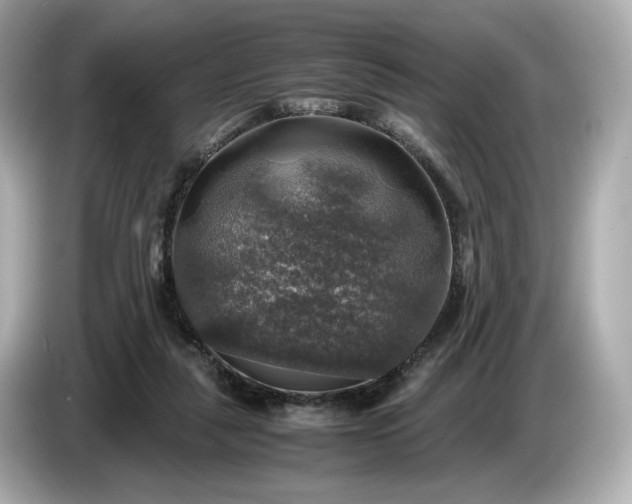 X0000087010259200704301424