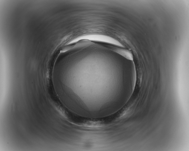 X0000087010260200704301424