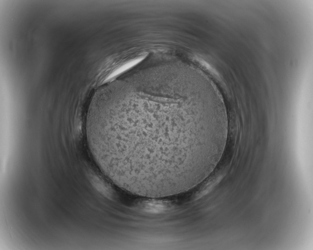 X0000087010261200704301424