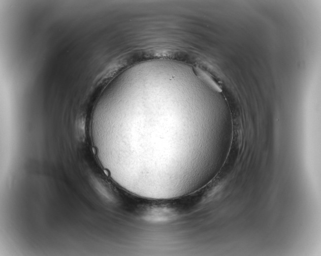 X0000087010262200704301424