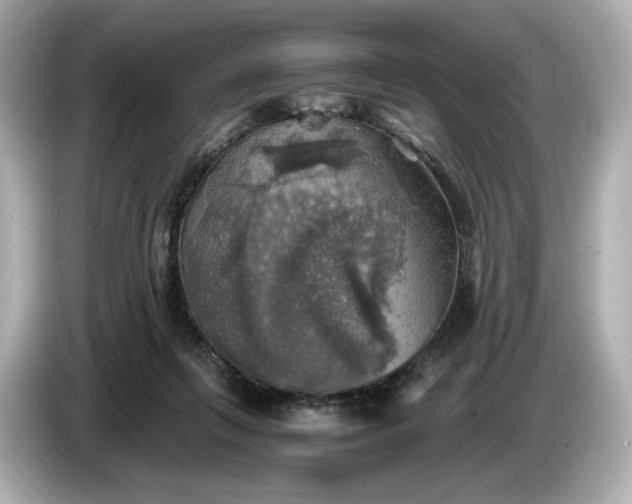 X0000087010263200704301424