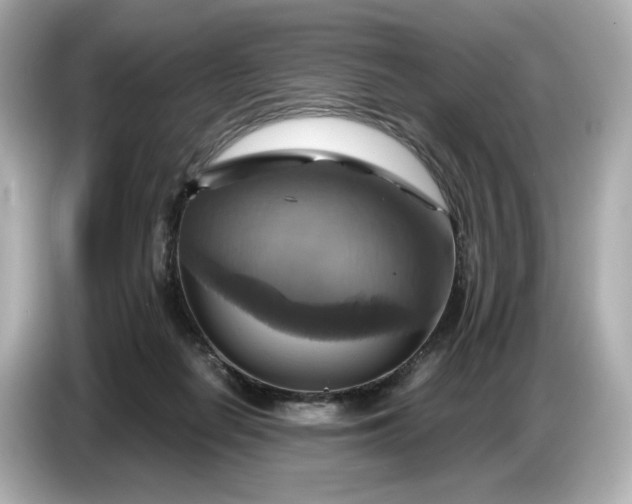 X0000087010266200704301424