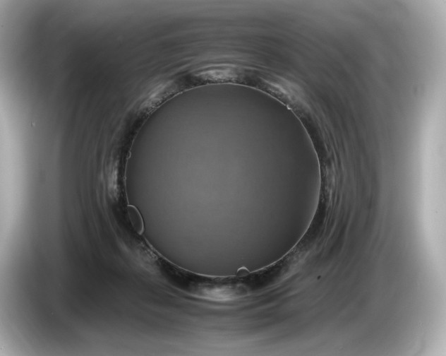 X0000087010267200704301424