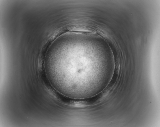 X0000087010268200704301424