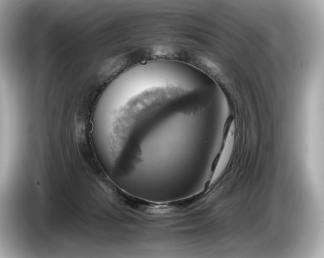 X0000087010269200704301424