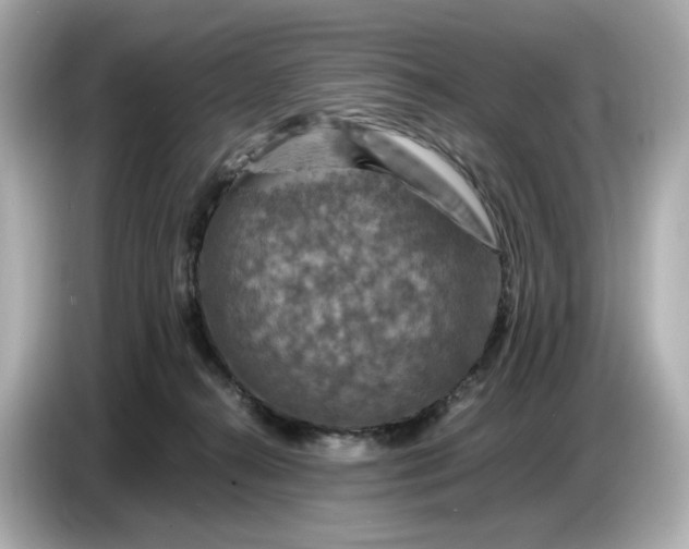 X0000087010272200704301424